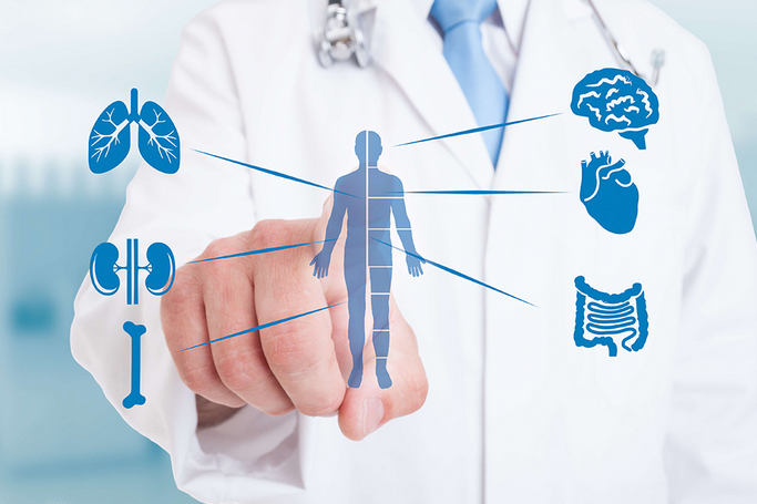 [Архэ] Мир гормонов — как в сбое системы не путать_0.png